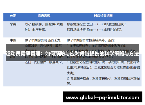 运动员健康管理:如何预防与应对肾脏损伤的科学策略与方法 运动员健康管理:如何预防与应对肾脏损伤的科学策略与方法