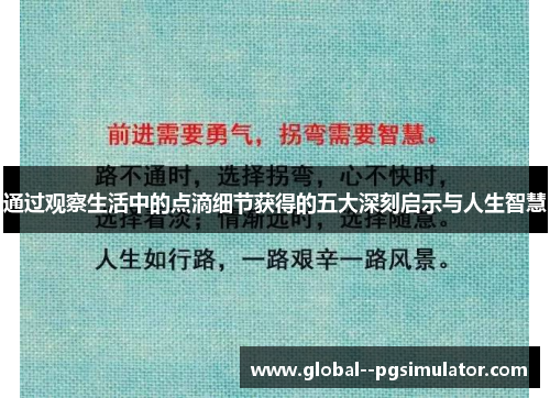通过观察生活中的点滴细节获得的五大深刻启示与人生智慧