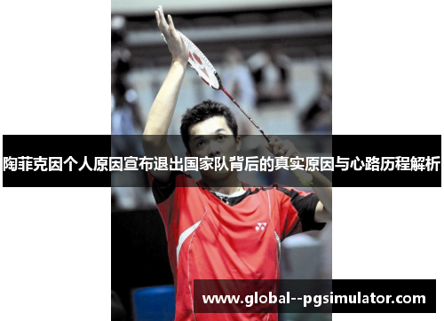 陶菲克因个人原因宣布退出国家队背后的真实原因与心路历程解析